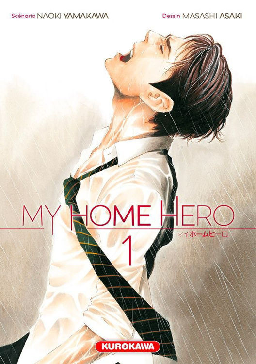 My Home Hero Tome 01