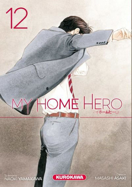 My Home Hero Tome 12