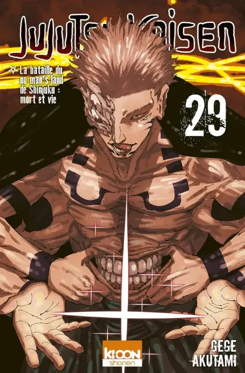 Jujutsu Kaisen Tome 29